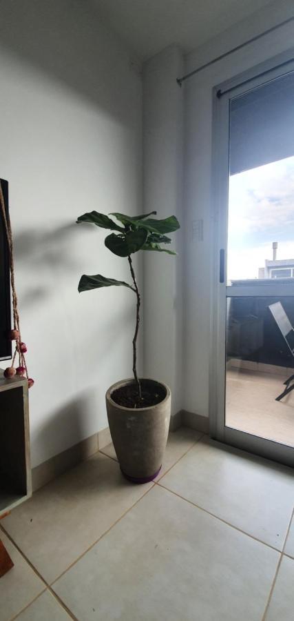 Los Tarcos Departamento Centro サンサルバドールデフフイ エクステリア 写真